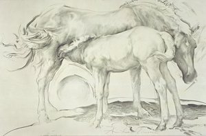 Cavalli a Coolmore, 1990