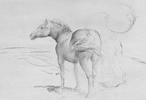 Cavalli a Coolmore, 1990 da Antonio Ciccone