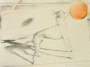 Cane spaziale