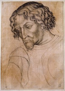 Busto di uomo barbuto, testa inclinata a sinistra da Antonio Pisanello