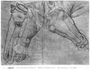 Teste di cavalli, dall