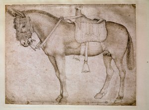 Finimenti di mulo. Disegno di Antonio Pisano detto il Pisanello da Antonio Pisanello