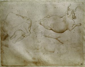 Due mucche e un ginepro. Disegno di Antonio di Puccio Pisano detto Pisanello da Antonio Pisanello