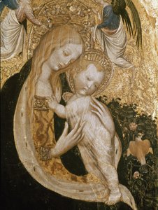 Vergine con quaglia da Antonio Pisanello