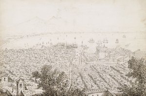Veduta panoramica di Napoli da Antonio Senape