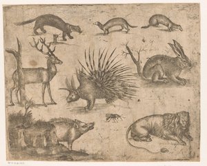 Foglio di studio con vari animali da Antonio Tempesta (attributed to)