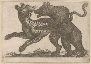 Un orso che combatte con una tigre da Antonio Tempesta