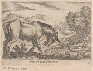 Unicorno che scaccia lucertole da uno stagno da Antonio Tempesta