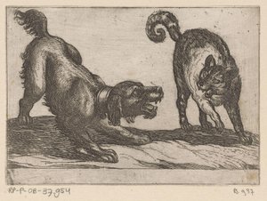 Un cane che combatte con un gatto (serie di animali combattenti) da Antonio Tempesta