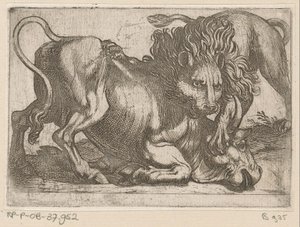 Un leone attacca un toro da Antonio Tempesta