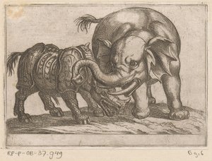 Un rinoceronte combatte con un elefante da Antonio Tempesta