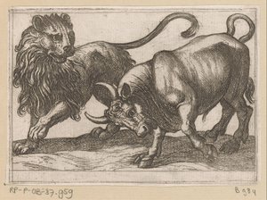 Un toro che attacca un leone da Antonio Tempesta