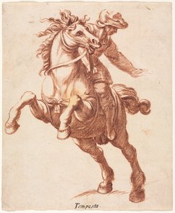 Steigendes Pferd und Reiter da Antonio Tempesta