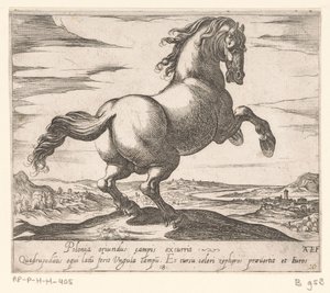 Cavallo impennato rivolto a destra (cavalli di diversi paesi) da Antonio Tempesta