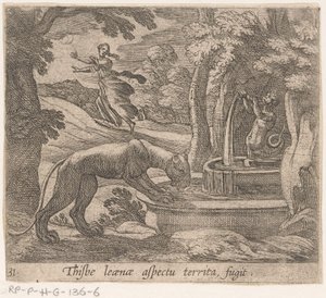 Thisbe fugge dal leone alla fonte
