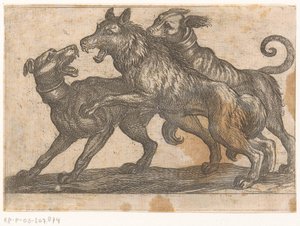 Due cani in lotta con un lupo (serie: Vechtende dieren)
