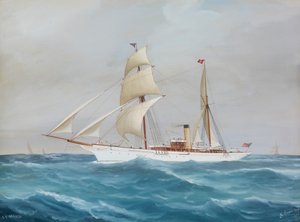S. Y. Narada