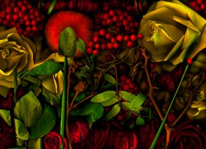  da Antonius Antonius