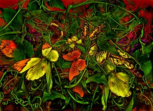  da Antonius Antonius