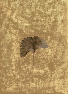  da Antonius Antonius