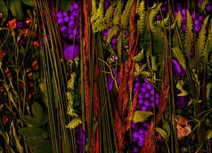  da Antonius Antonius