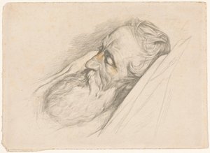 Uomo barbuto dormiente