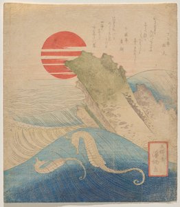 Cavallucci marini davanti a un nuovo anno che sorge da Aoigaoka Keisei