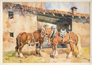 Cavalli da Arcangelo Salvarani