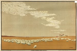 Un gregge di pecore Merino - Australia, dalla serie 