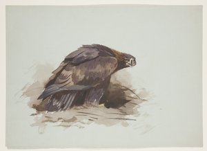 Aquila reale, c.1915 da Archibald Thorburn