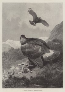 Bracconieri delle Highlands da Archibald Thorburn