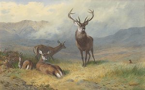 Monarca della brughiera da Archibald Thorburn