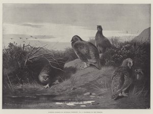 Soggetti sportivi, alba del dodicesimo giorno da Archibald Thorburn