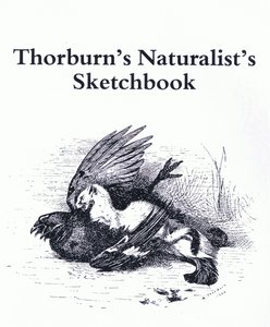 Pagina del titolo (Stoat e Gamebird), pub. da Book Club Associates da Archibald Thorburn