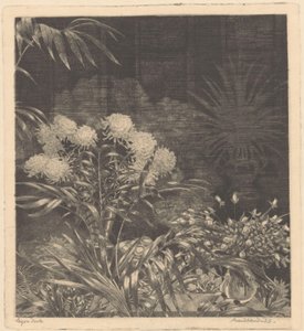 Interno con fiori in vasi e piante in vasi