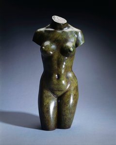 Torso di una giovane donna da Aristide Maillol