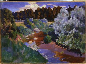 Paesaggio con un fiume