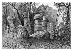 Rovine di un tempio Ahom, Dinajpur, Assam Superiore, India, 1895 da Armand Kohl