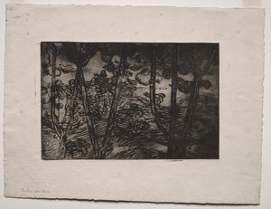 Alberi di notte, c. 1894 da Armand Séguin