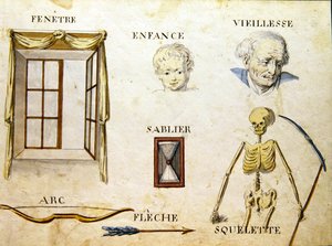 Illustrazioni da 