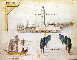 Illustrazioni da 