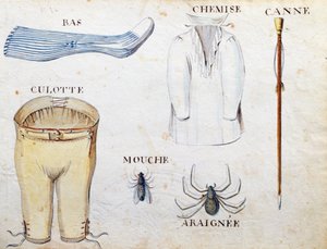 Illustrazioni da 