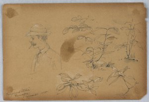 Studi di primo piano, Ramapo