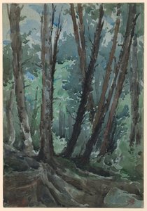 Foresta