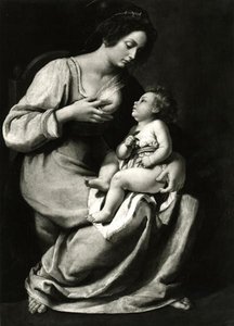 Madonna delle ciliegie