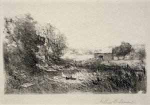 Stagno delle anatre da Arthur B. Davies