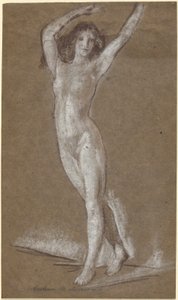 Nudo femminile in piedi