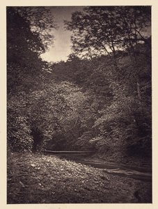 [scena della foresta] da Arthur Brown