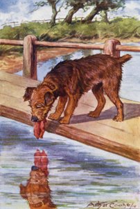 Favole di Esopo: Il cane e l