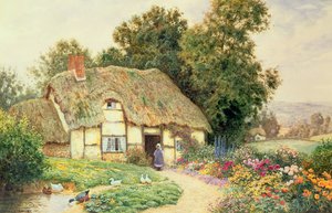 Un cottage vicino a uno stagno di anatre